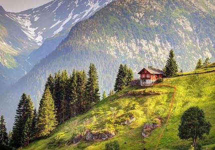 Dalhousie Wildlife Escape from Chandigarh