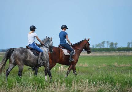 Dalhousie Khajjiar Chamba Getaway from Amritsar