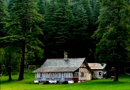 Dalhousie Wildlife Escape from Chandigarh
