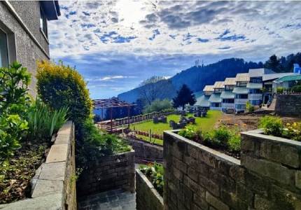 Chandigarh to Dharamshala via Shimla & Manali Road Trip