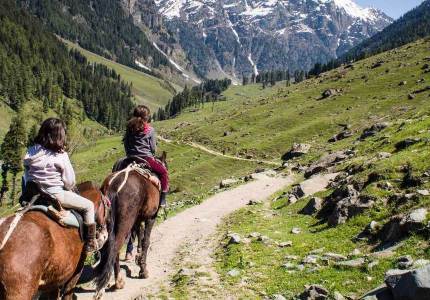7 Days Kashmir Valley Tour (Srinagar Gulmarg Pahalgam)