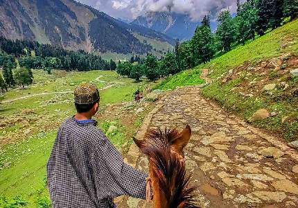 Vaishno Devi Darshan with Patnitop Hill Stay