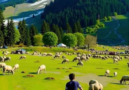 Chandigarh to Srinagar Gulmarg Pahalgam 9-Day Tour