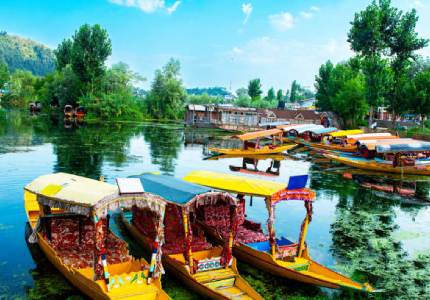 Srinagar City Break Tour Package