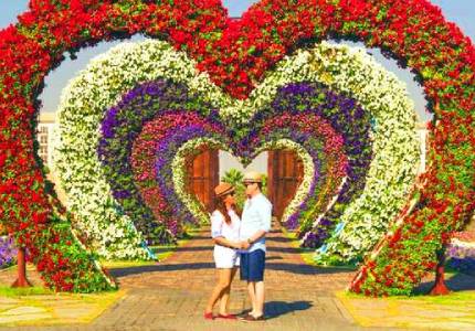 Book Taxi From Chandigarh