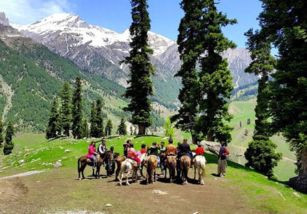Kashmir Journeys