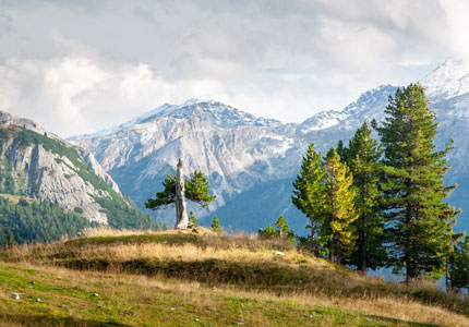 Amritsar Dalhousie Khajjiar Chamba Tour Package